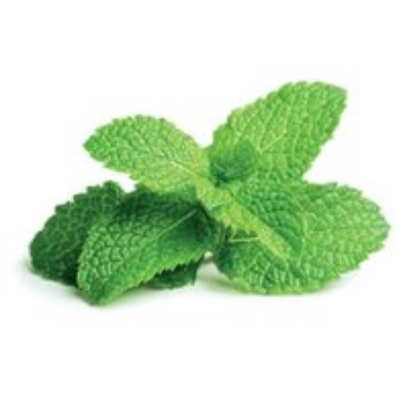 Homemade Peppermint Soap - Picture 8 of 10